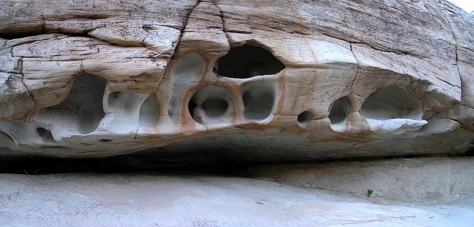 P1010022 and P1010021